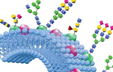 Cuidado com colunas hplc