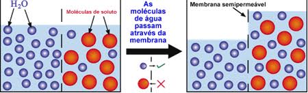 Explicando a osmose e a pressão osmótica