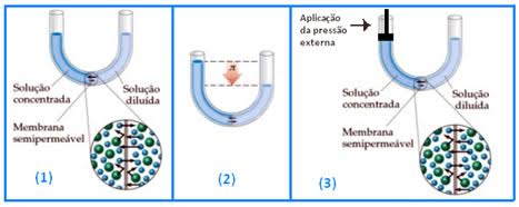 Fluxo de moléculas do solvente - osmômetro