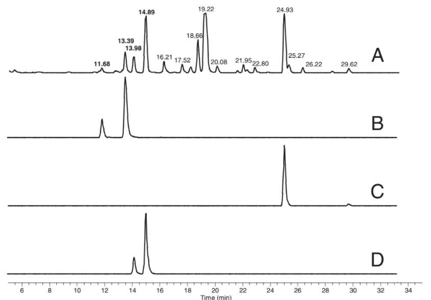Cromatografia de fase reversa com detector UV (A) e espectroscopia de massa (B-D). Os picos menores nos traços B-D se referem aos aminoácidos-D.