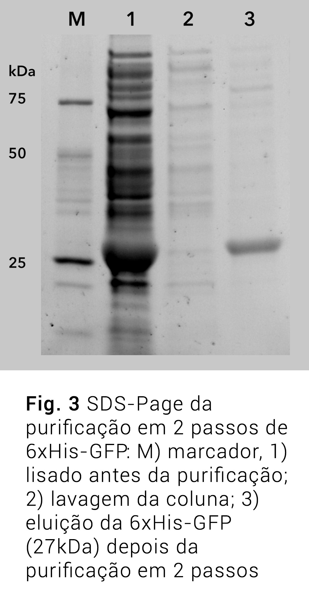 Purificação automatizada